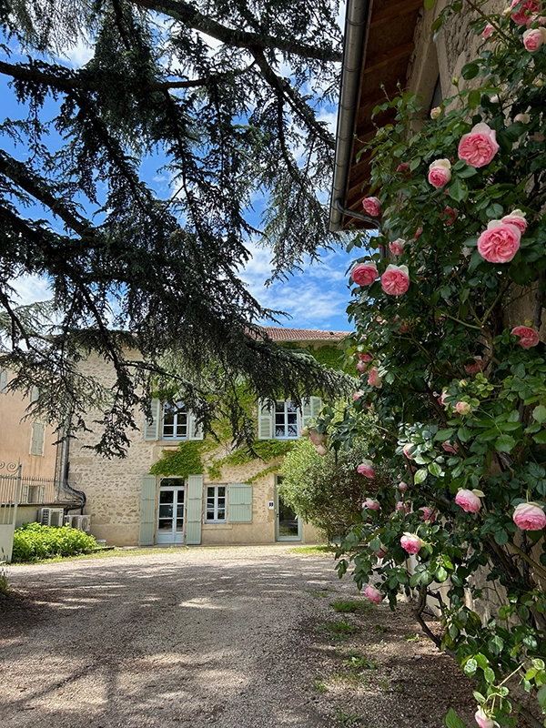 Galerie